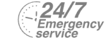 24/7 Emergency Service Pest Control in Barnes, Castelnau, SW13. Call Now! 020 8166 9746