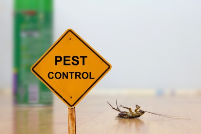 Pest Contol in Barnes, Castelnau, SW13. Call Now 020 8166 9746